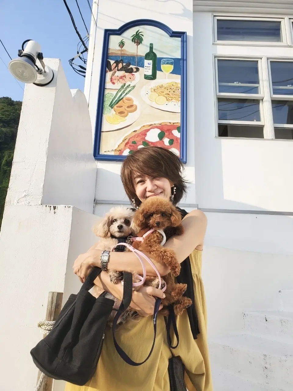 ワンコと一緒に海へお出かけの画像_8