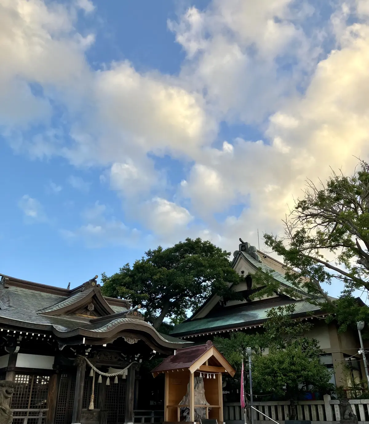 朝活スタートしました♪の画像_2