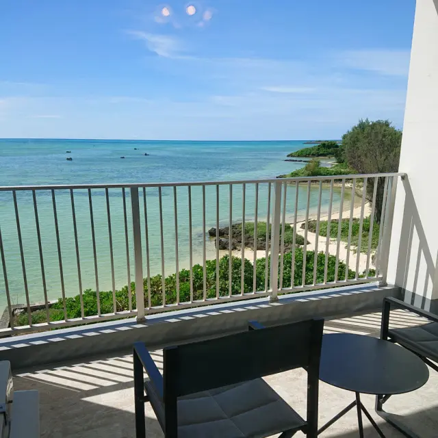 オープンしたばかりの絶景ホテルから念願のの画像_6