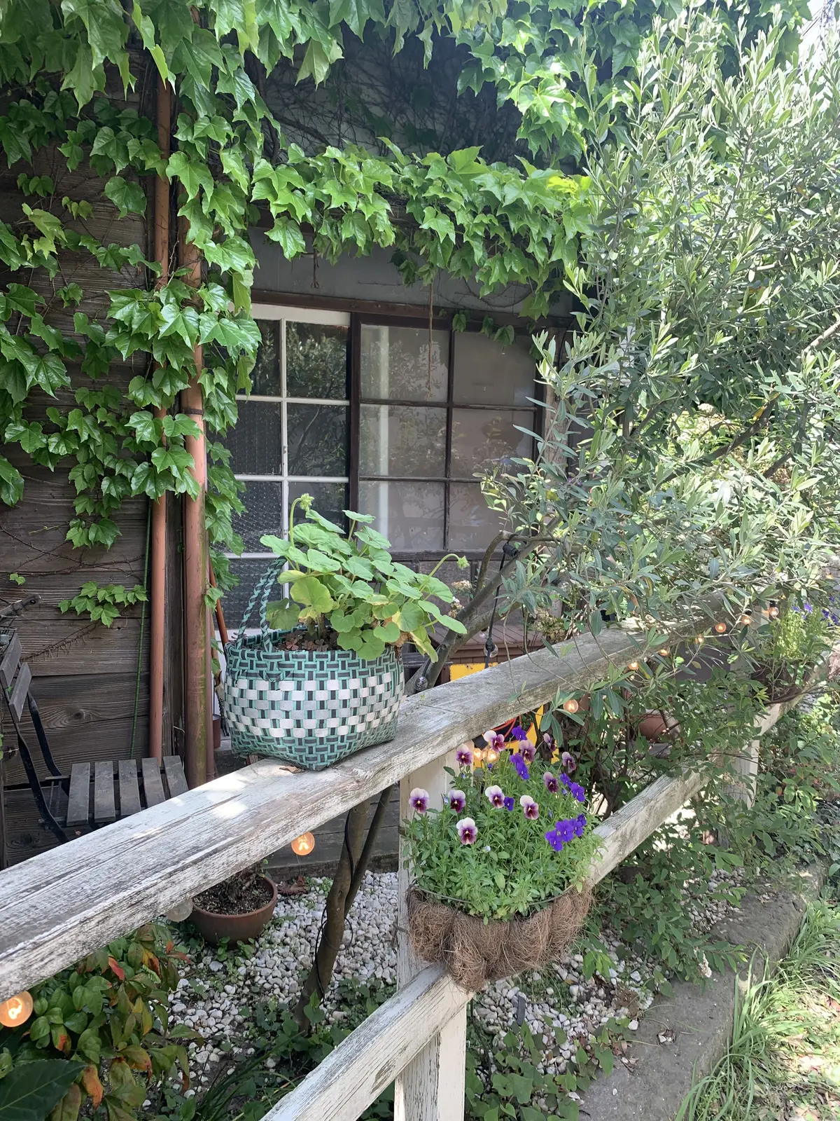 カフェ坂の下 鎌倉 古民家カフェ巡り③の画像_8