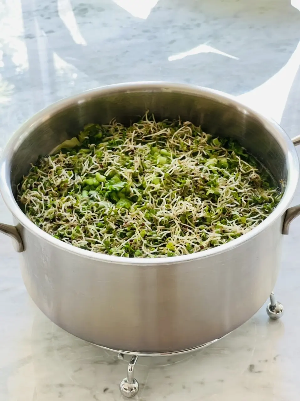 スプラウトの蓋