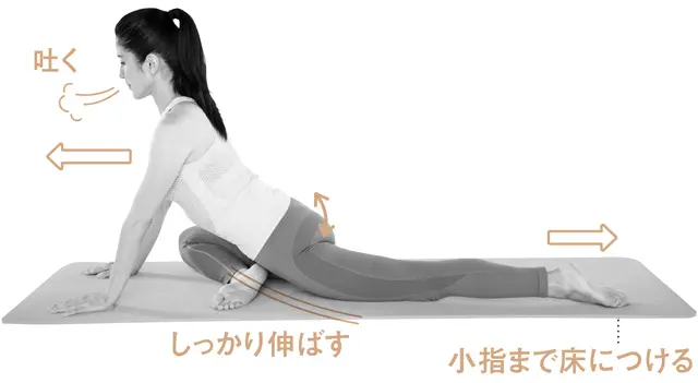 左脚を後ろに伸ばし、右脚は膝を外側に開く