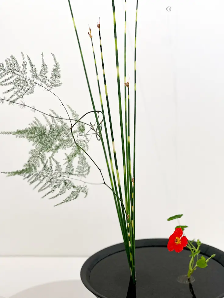 【池坊いけばな展】伝統文化の継承に感動🫠の画像_3