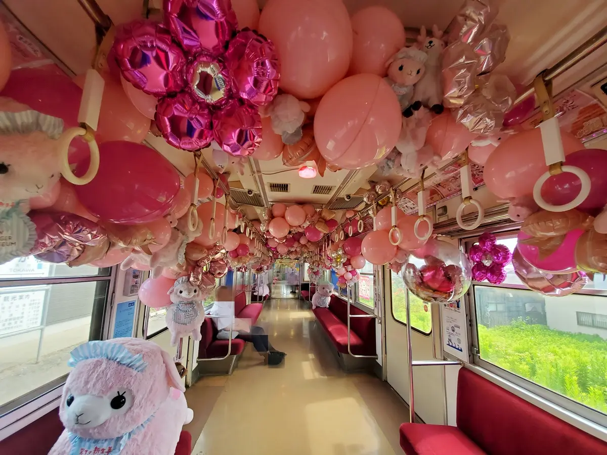 車内に一歩足を踏み入れてビックリ！可愛すぎます。