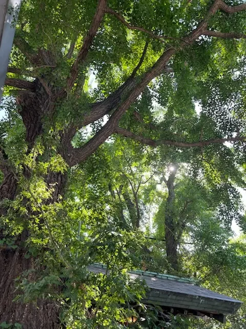 東京旅〜築地で立ち食い寿司〜の画像_8