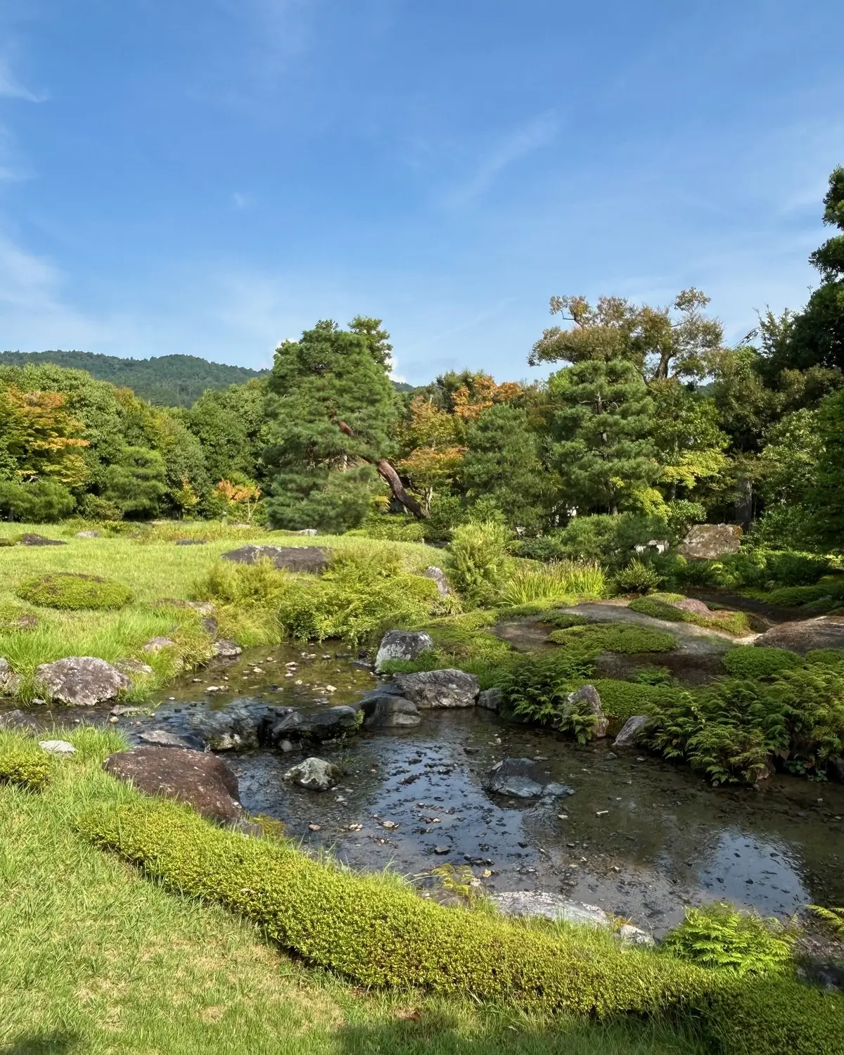 黒ワンピースで楽しむ夏の京都〜日本庭園やの画像_3