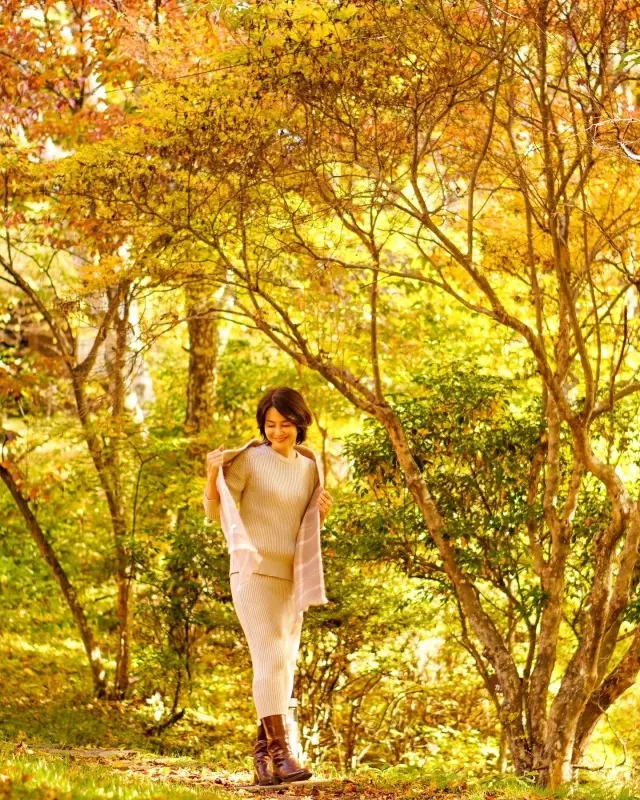 錦繍の蓼科の画像_2