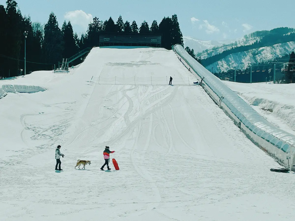 春スキー @ ロッテアライリゾートの画像_9