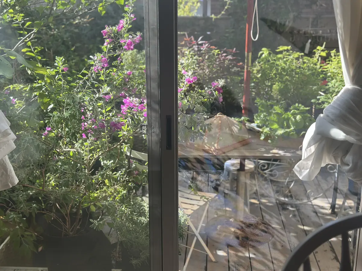 10月も下旬、本格的な秋到来！植物たちもの画像_3