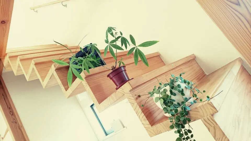 どきどきのスタートですの画像_2