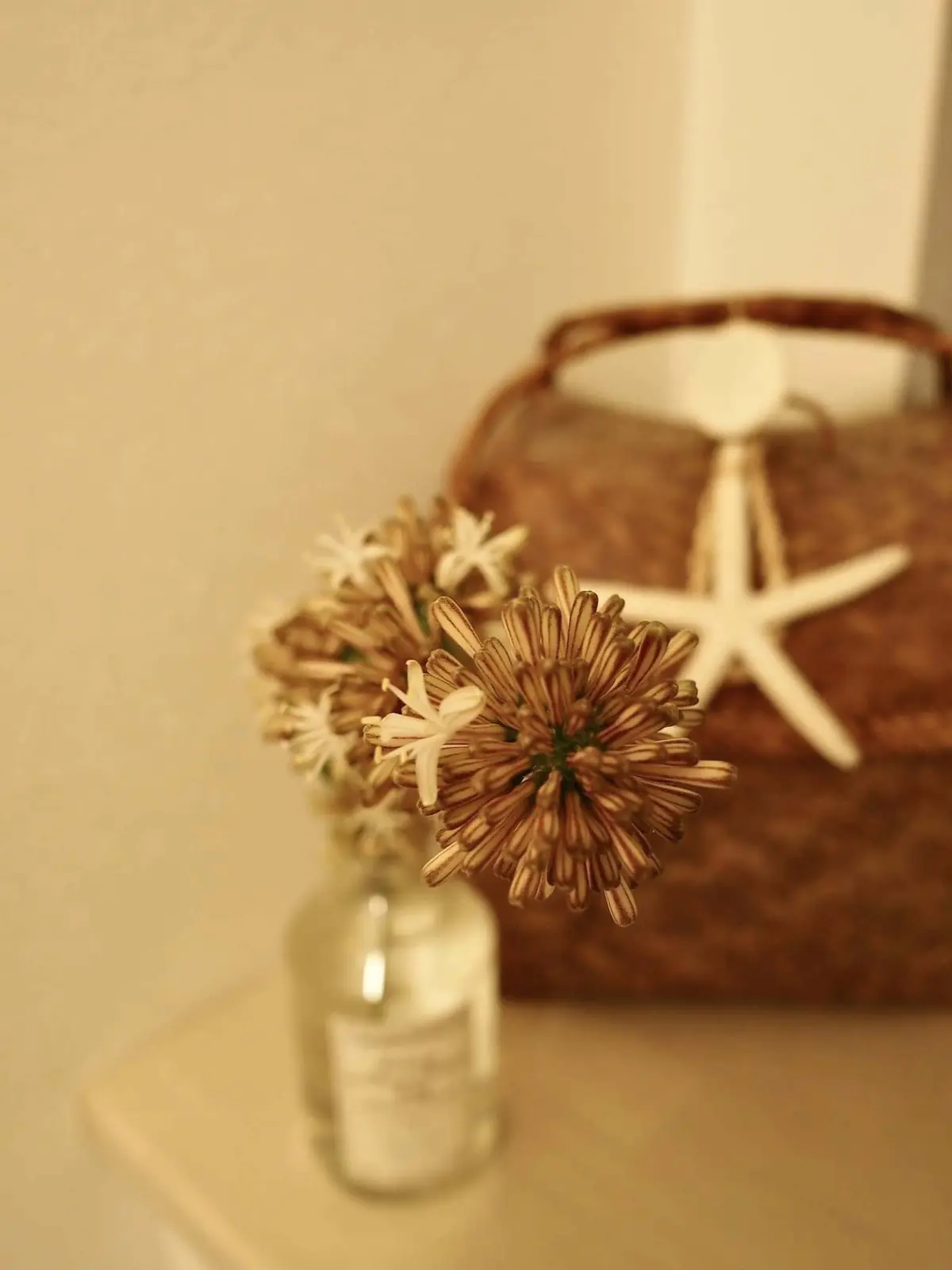 お福分け！奇跡が運ぶ「幸運」の花。の画像_3