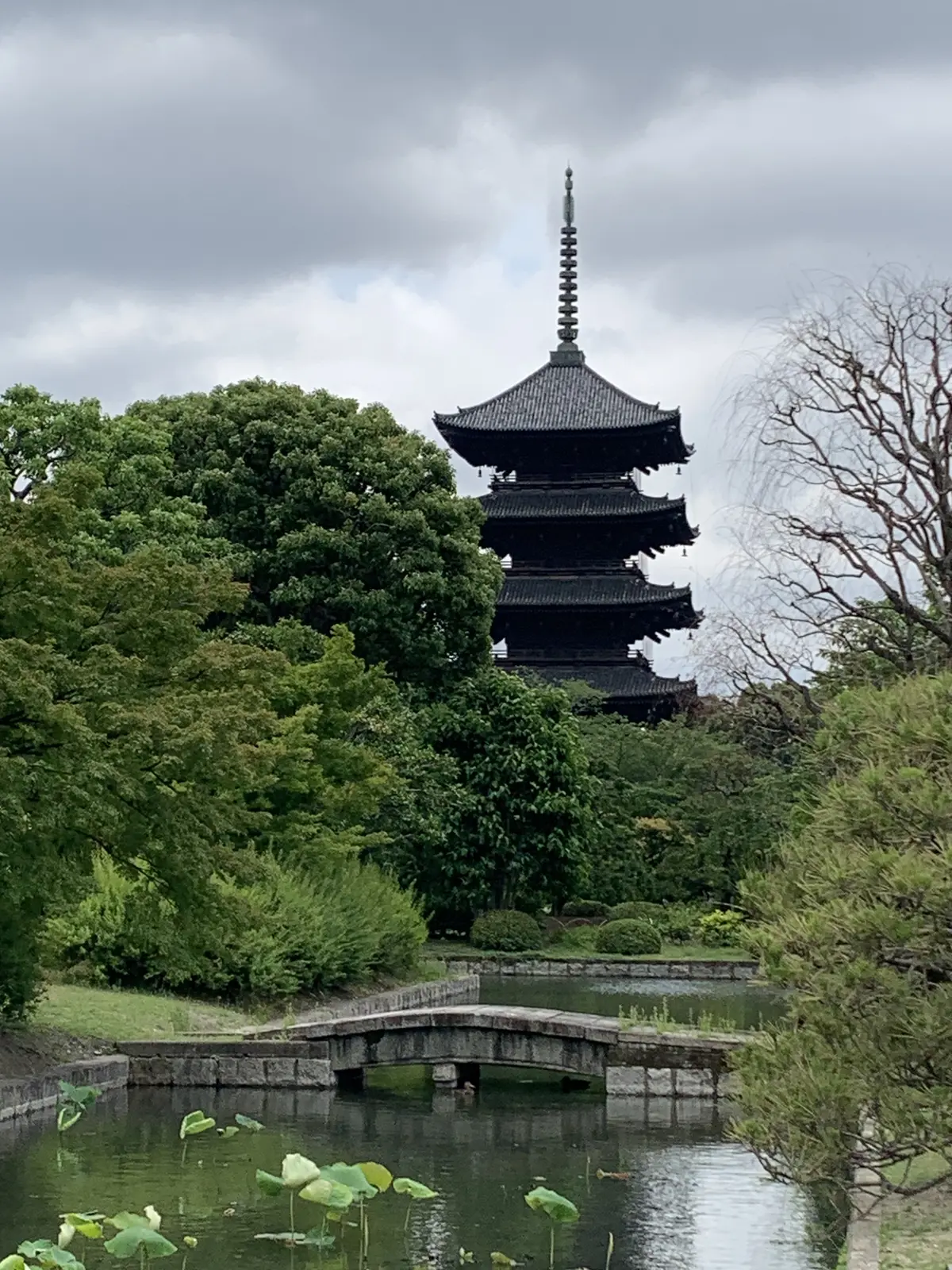 美しい東寺の五重塔