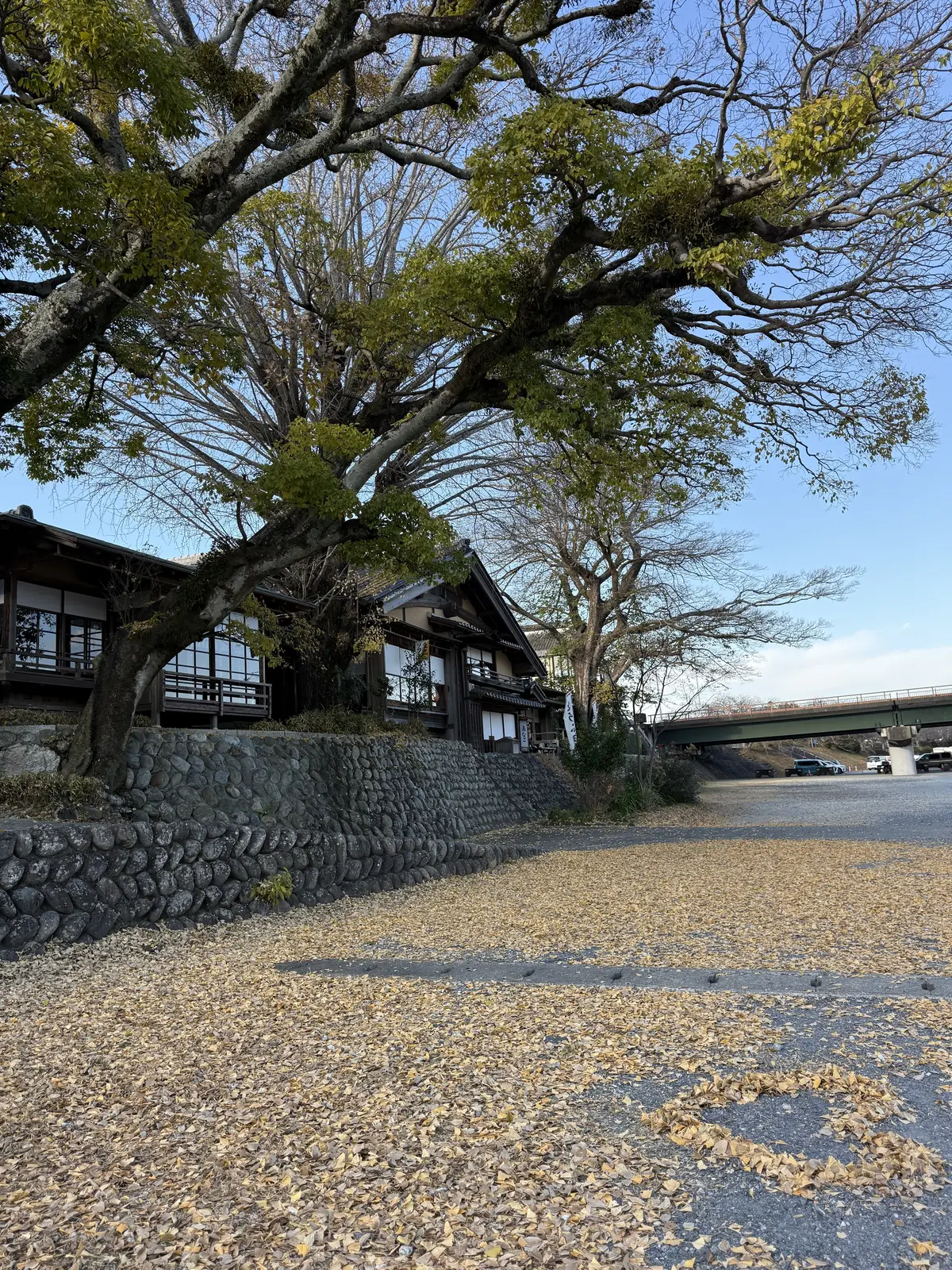 【伊勢】みちひらきの神様・猿田彦神社への画像_3