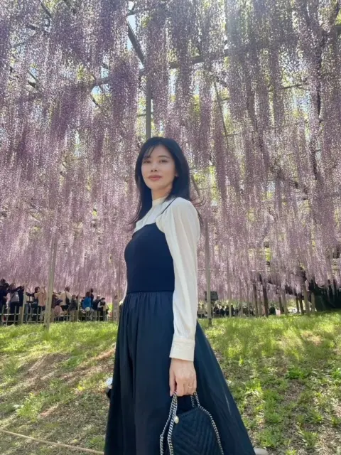 紫の藤棚の下で