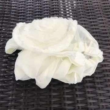 中から出てきました