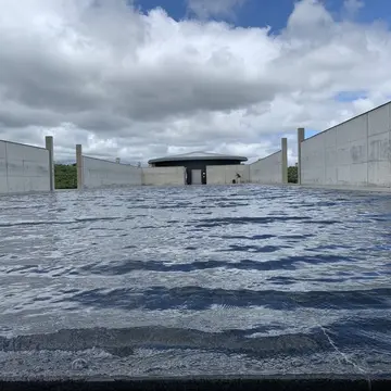 頭大仏様へアプローチするにはこの水庭を通り抜けます