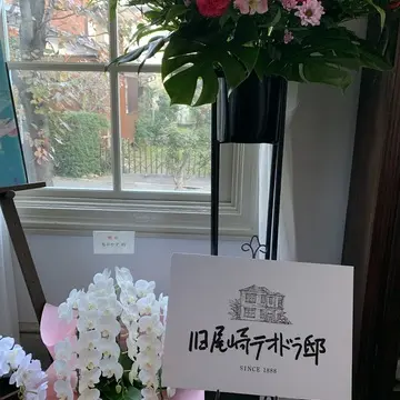 部屋に飾られた胡蝶蘭