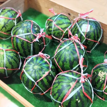 道の駅　協和　スイカ