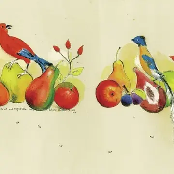 『妊娠カレンダー』