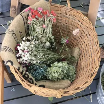 ペーパームーン山中湖　ケーキ　カフェ　山中湖　お土産　