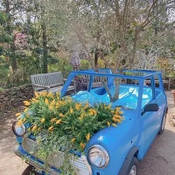 横浜イングリッシュガーデン園内