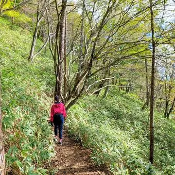 山登り♪と軽く考えていたら本格的！必死です(笑)