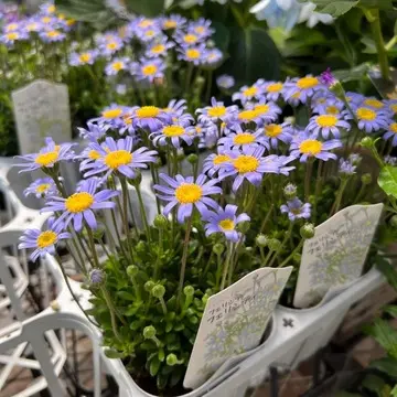 コピスガーデン