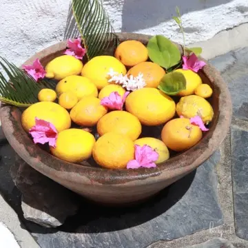 アンダルシアゾーン