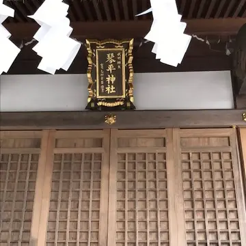 琴平神社