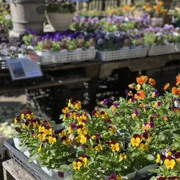 コピスガーデン