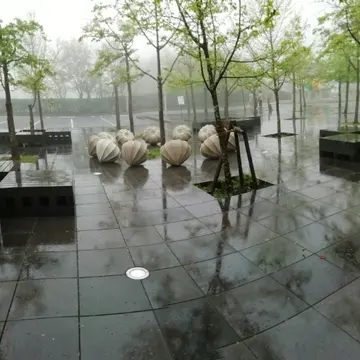 西川勝人<ほおずき・コブシの森>