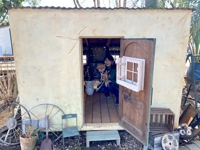 わんちゃんと撮影スポット