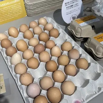 クルックフィールズ