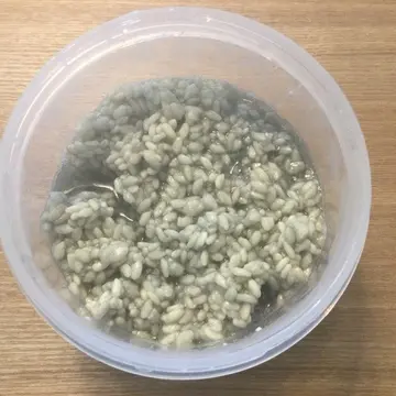 はじめての塩麹作り