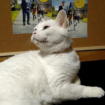 幸せなひとりぼっち×2とねね②