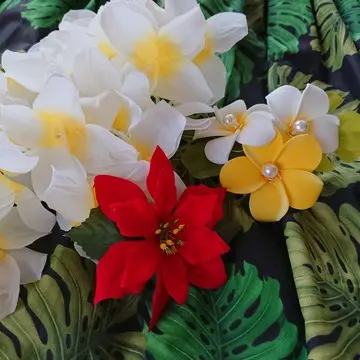 いま夢中になれるものの画像_1