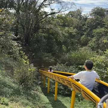 クルックフィールズ