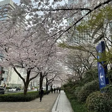 愛宕山エレベーターの下