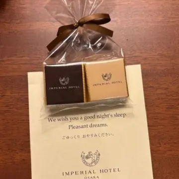 大阪　演奏会　帝国ホテル　ラウンジ　夜景　朝焼け　景色　旅行　演奏会　道頓堀　お好み焼き　とんてき　明石焼き　串カツ