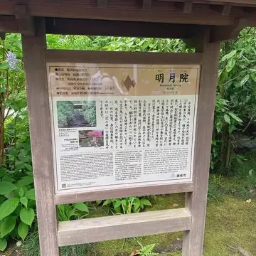 鎌倉 明月院