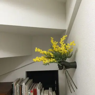 一癖二癖ある、最近購入したインテリア雑貨の画像_4