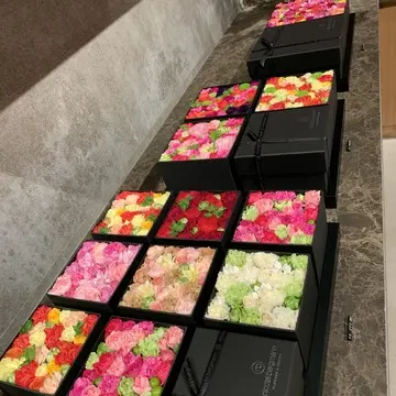 ニコライバーグマンの美しい花々