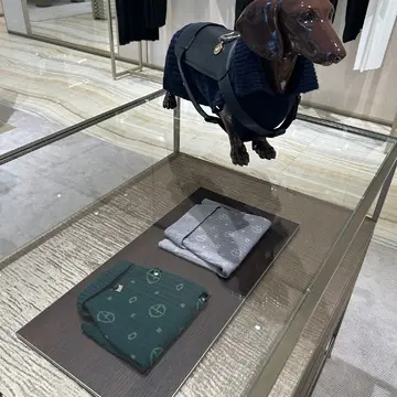 ジョルジオ アルマーニ 表参道店　ドッグアイテム