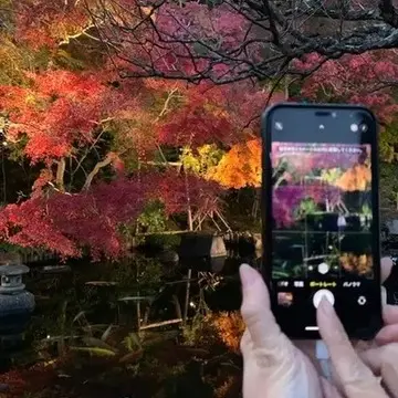 もしもおみくじで『半吉』をひいたら…
