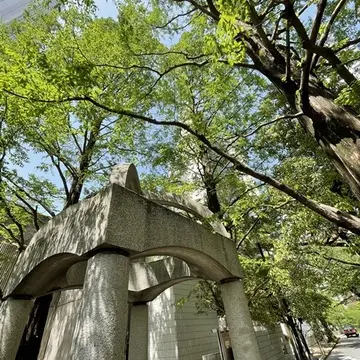 アークヒルズの新緑