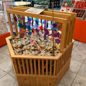 龍　東京　初詣　田無神社　干支　辰年　龍神　年末詣　幸先詣　五龍神　初詣　2024初詣　エクラブログ　jマダム