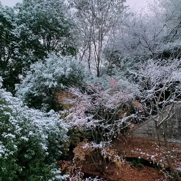 エクシブ有馬離宮の中庭