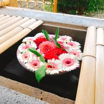 上野東照宮の花手水