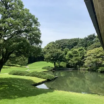 和風別館　遊心亭前の池と樹木