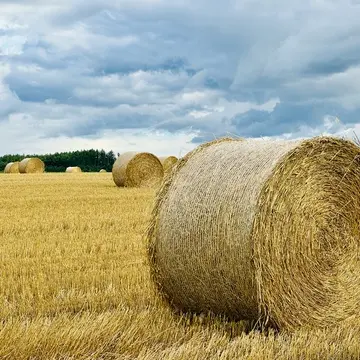 北海道の牧草ロール